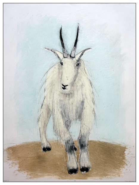 Goat 1