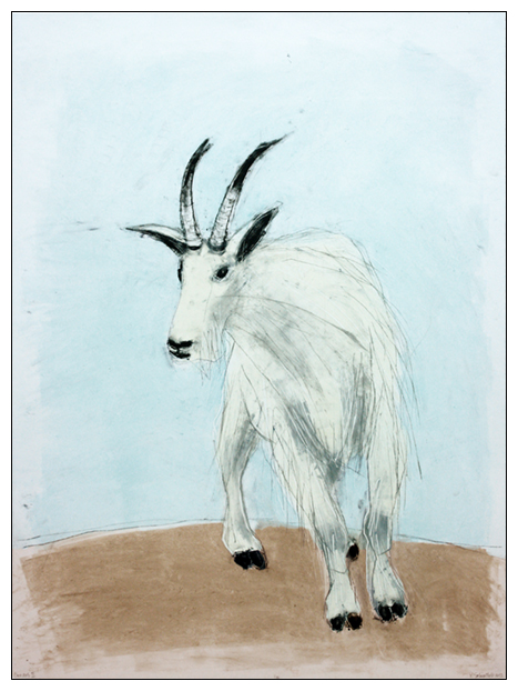 Goat 1