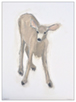 Young One 1