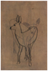 Deer Suite II