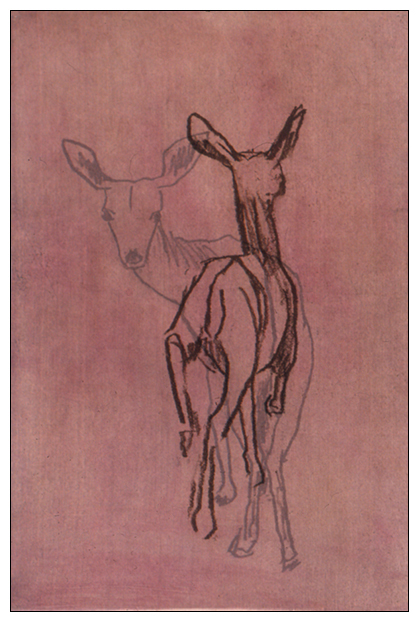 Deer Suite VI