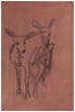 Deer Suite III