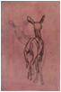 Deer Suite VI