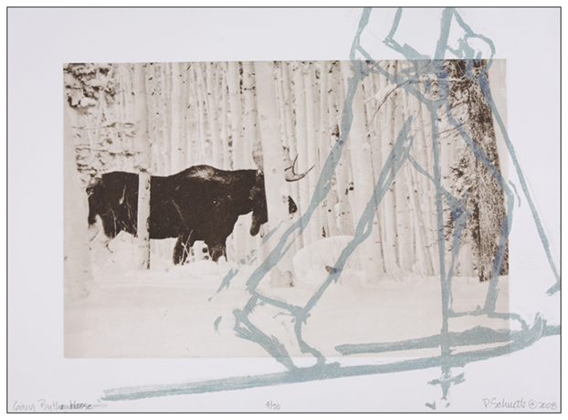 Going By The Moose