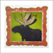 Portrait-Moose